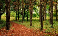 世界短道速滑线上教学大赛：教练短视频课程获评选奖项，短道速滑竞赛